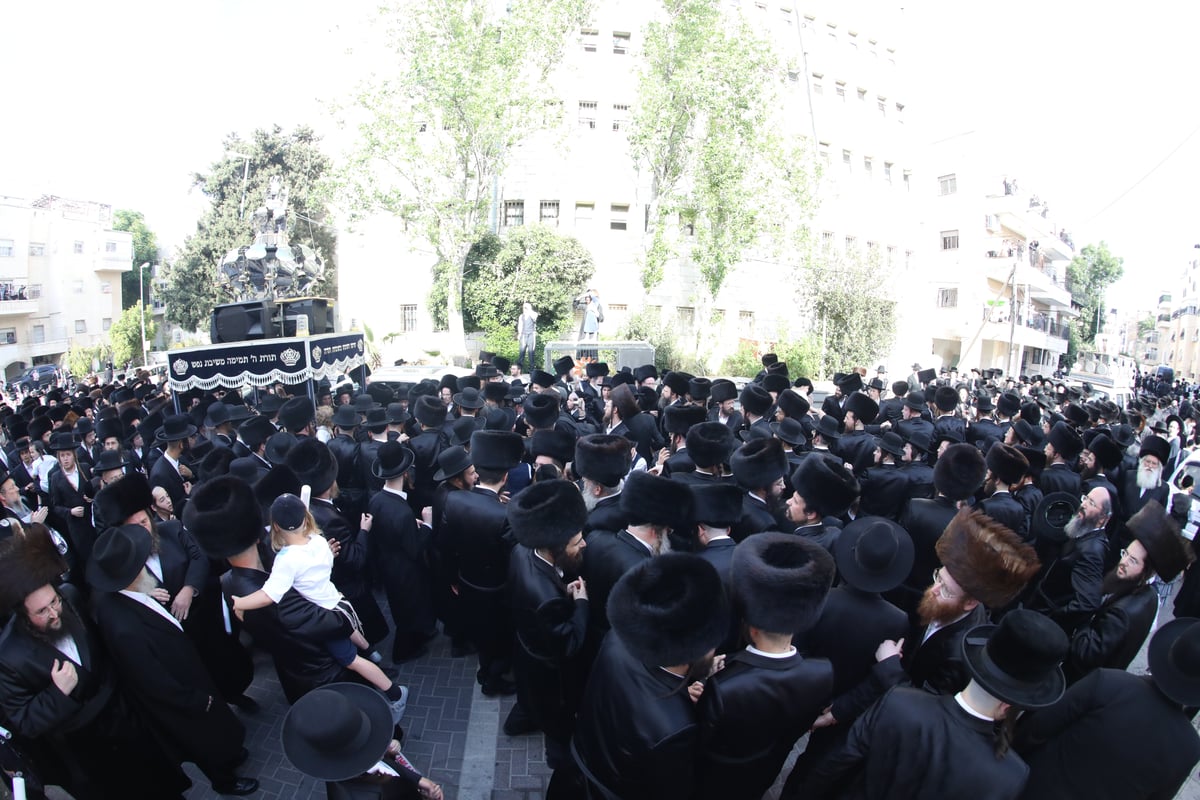 קהילת הגר"ש אלתר הכניסה ספר תורה חדש