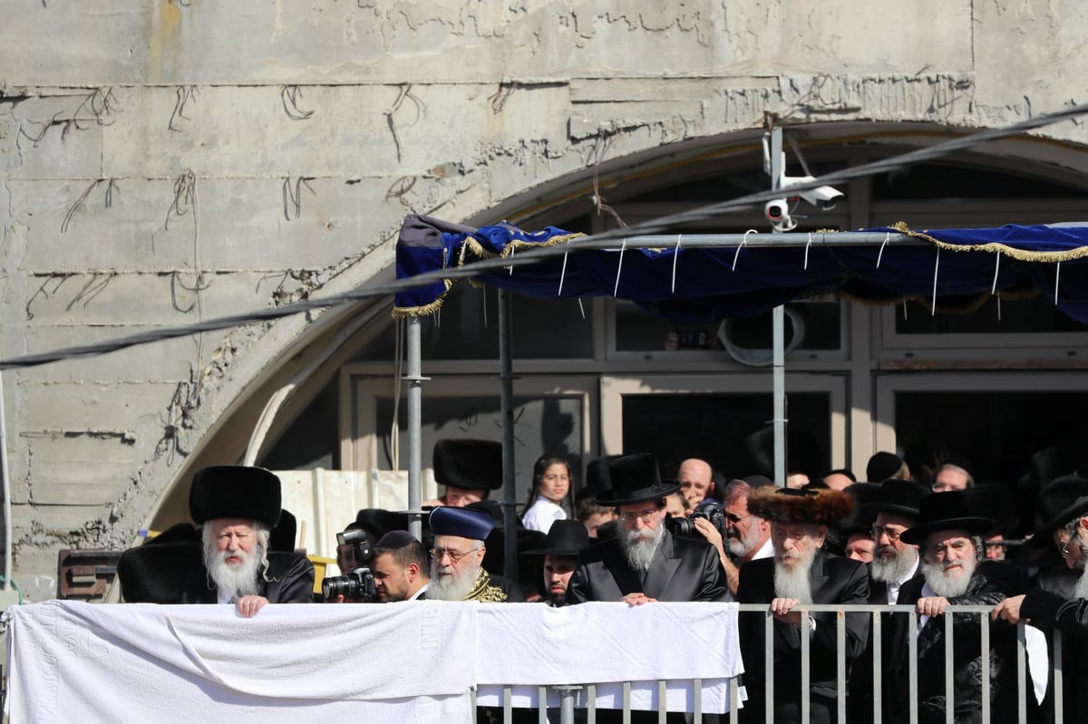 עשרות אלפים השתתפו בחתונת נכד האדמו"ר מגור • תיעוד