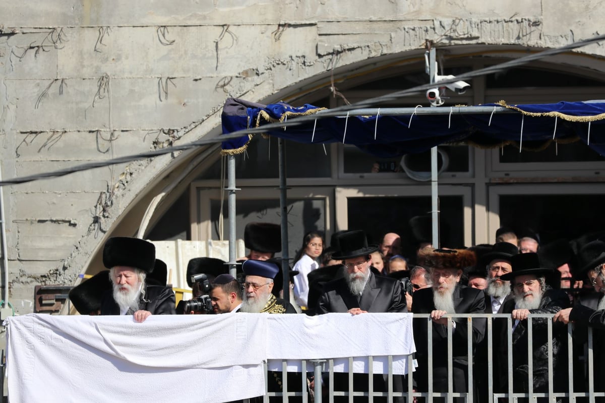 עשרות אלפים השתתפו בחתונת נכד האדמו"ר מגור • תיעוד