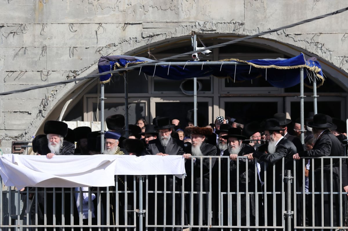 עשרות אלפים השתתפו בחתונת נכד האדמו"ר מגור • תיעוד