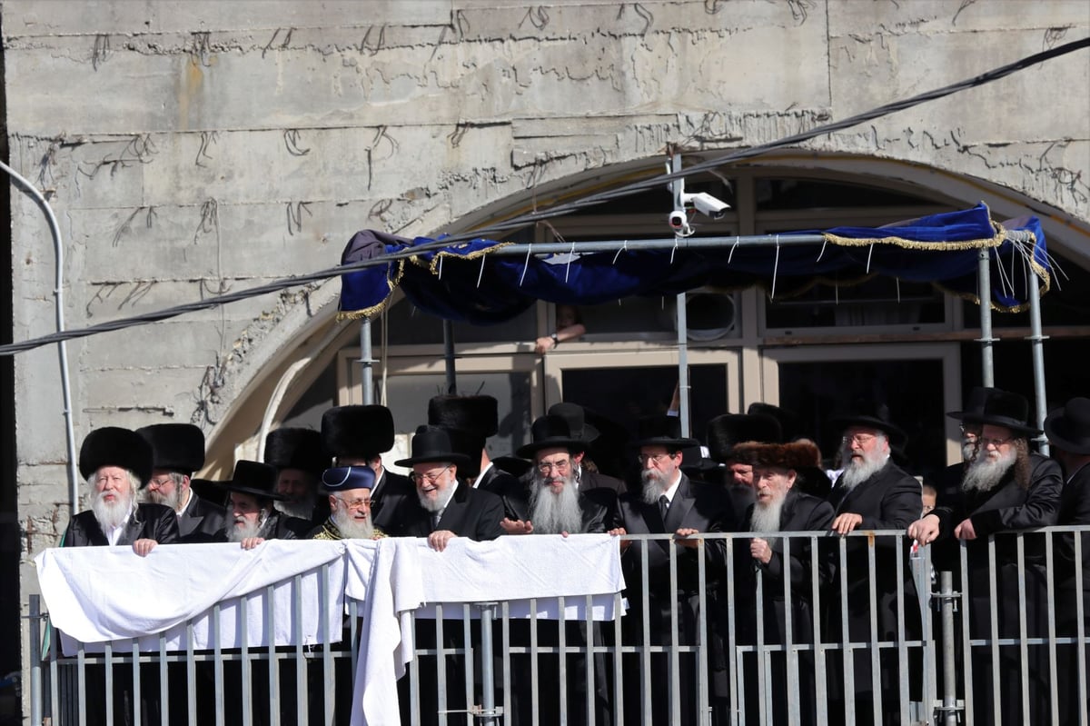 עשרות אלפים השתתפו בחתונת נכד האדמו"ר מגור • תיעוד