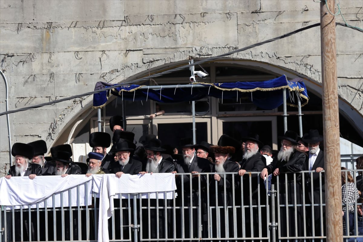 עשרות אלפים השתתפו בחתונת נכד האדמו"ר מגור • תיעוד