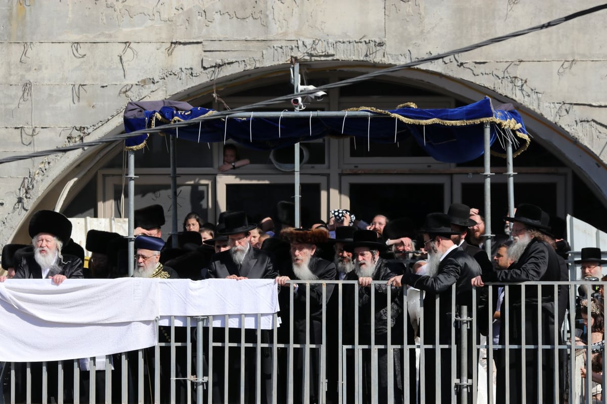 עשרות אלפים השתתפו בחתונת נכד האדמו"ר מגור • תיעוד