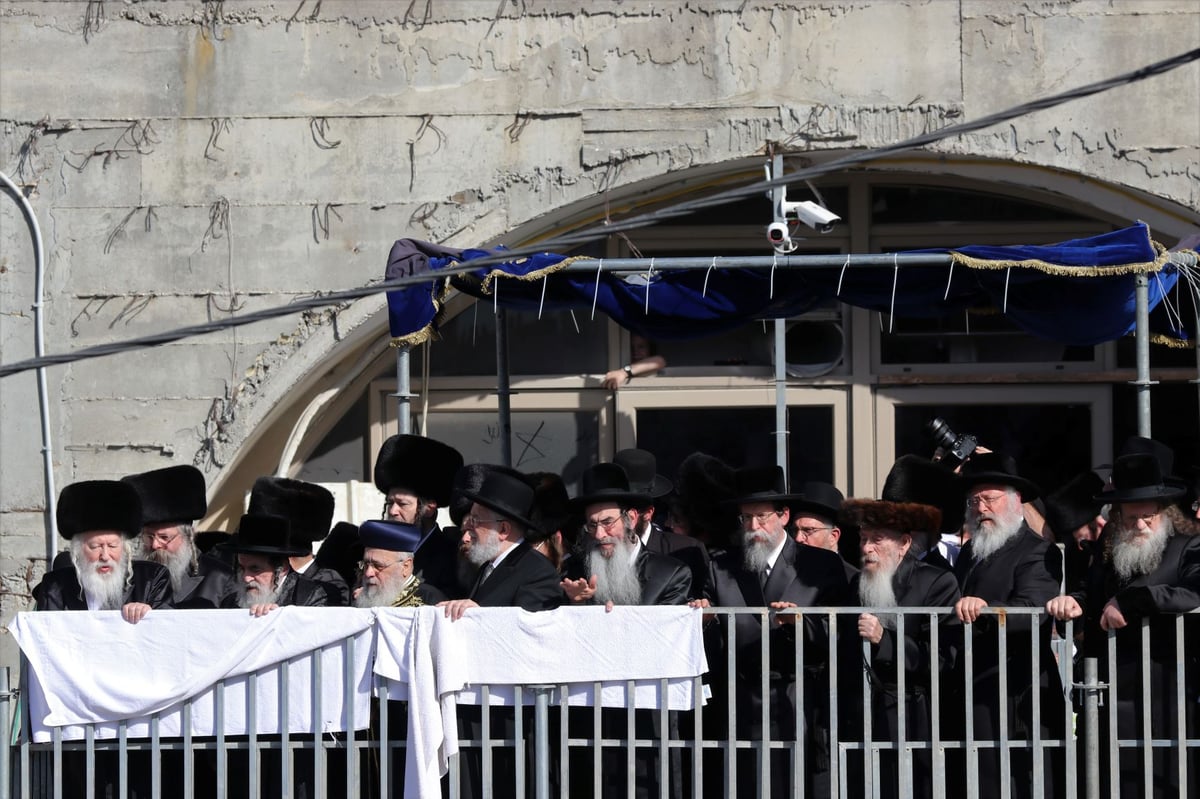 עשרות אלפים השתתפו בחתונת נכד האדמו"ר מגור • תיעוד