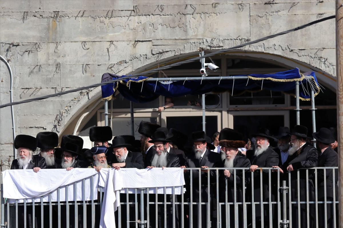 עשרות אלפים השתתפו בחתונת נכד האדמו"ר מגור • תיעוד