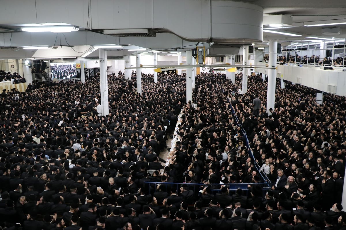 עשרות אלפים השתתפו בחתונת נכד האדמו"ר מגור • תיעוד