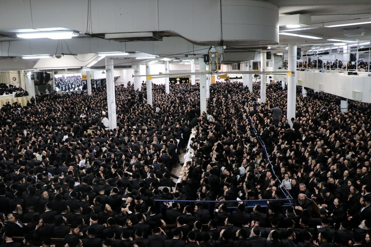 עשרות אלפים השתתפו בחתונת נכד האדמו"ר מגור • תיעוד