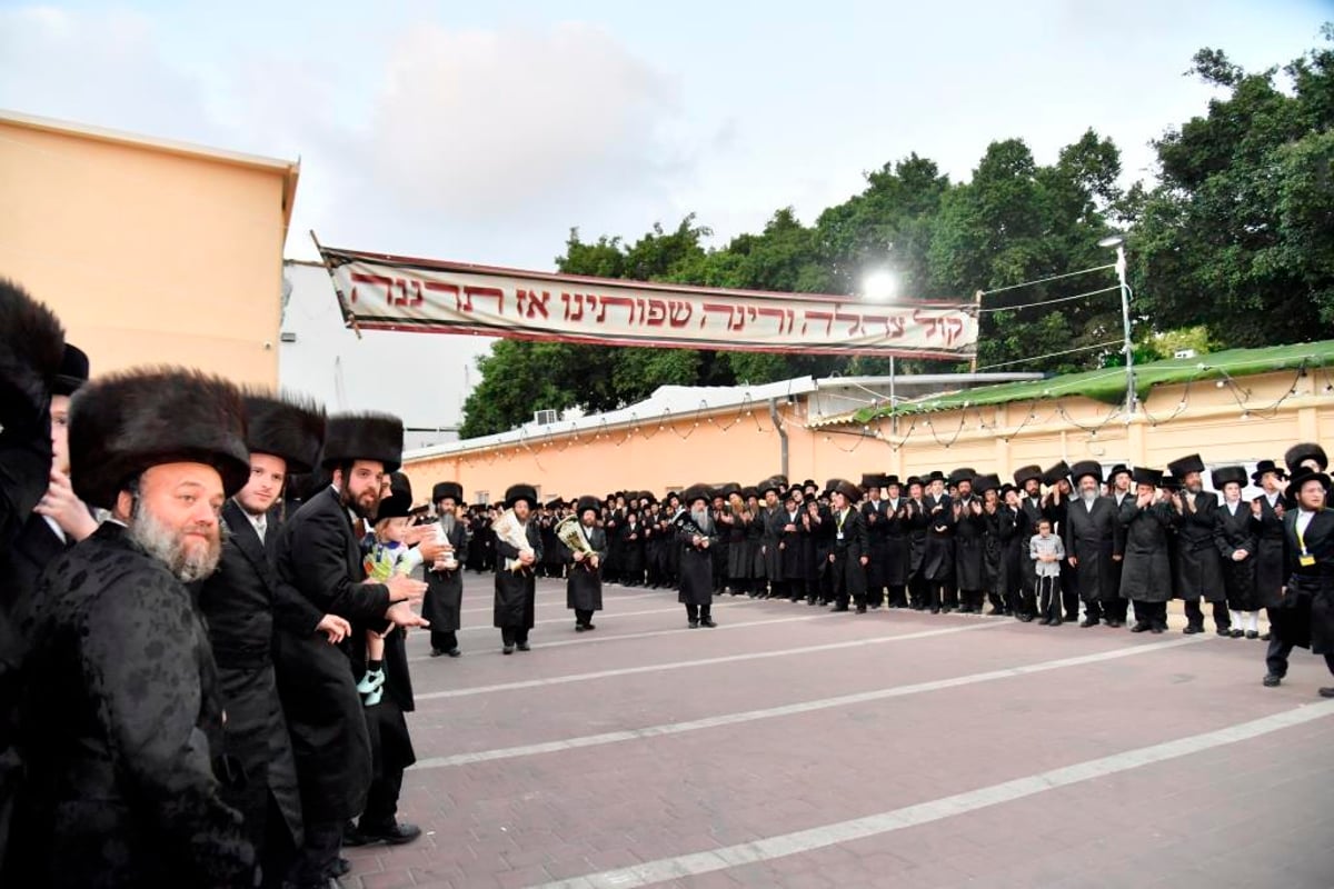 לע"נ החסיד: בויז'ניץ חגגו הכנסת ספר תורה חדש