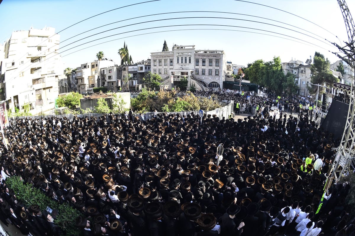 אלפים בחתונת בית סערט ויז'ניץ - סאטמר - ויז'ניץ