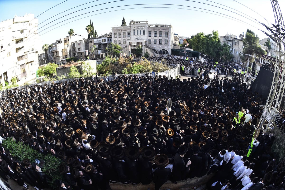 אלפים בחתונת בית סערט ויז'ניץ - סאטמר - ויז'ניץ