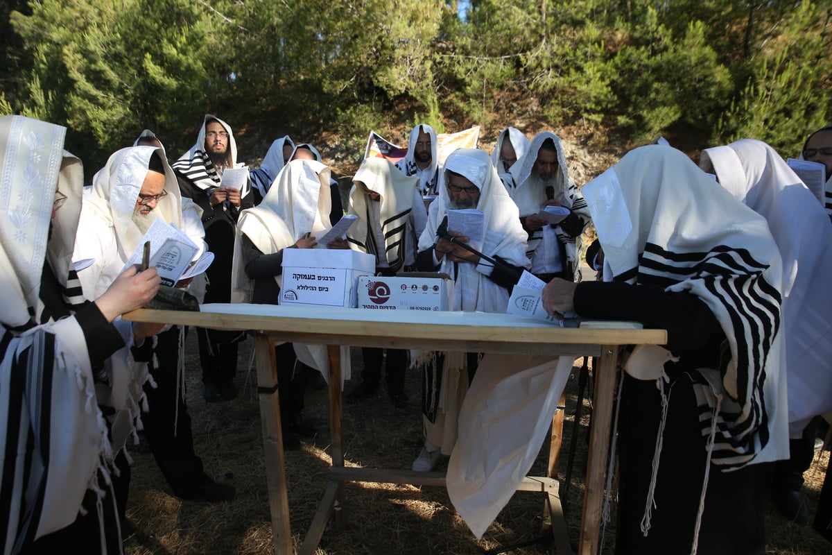 לאחר שההילולא בוטלה: תיקון שופרות ביער הסמוך