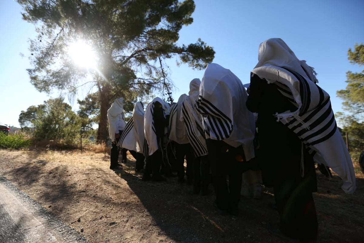 לאחר שההילולא בוטלה: תיקון שופרות ביער הסמוך