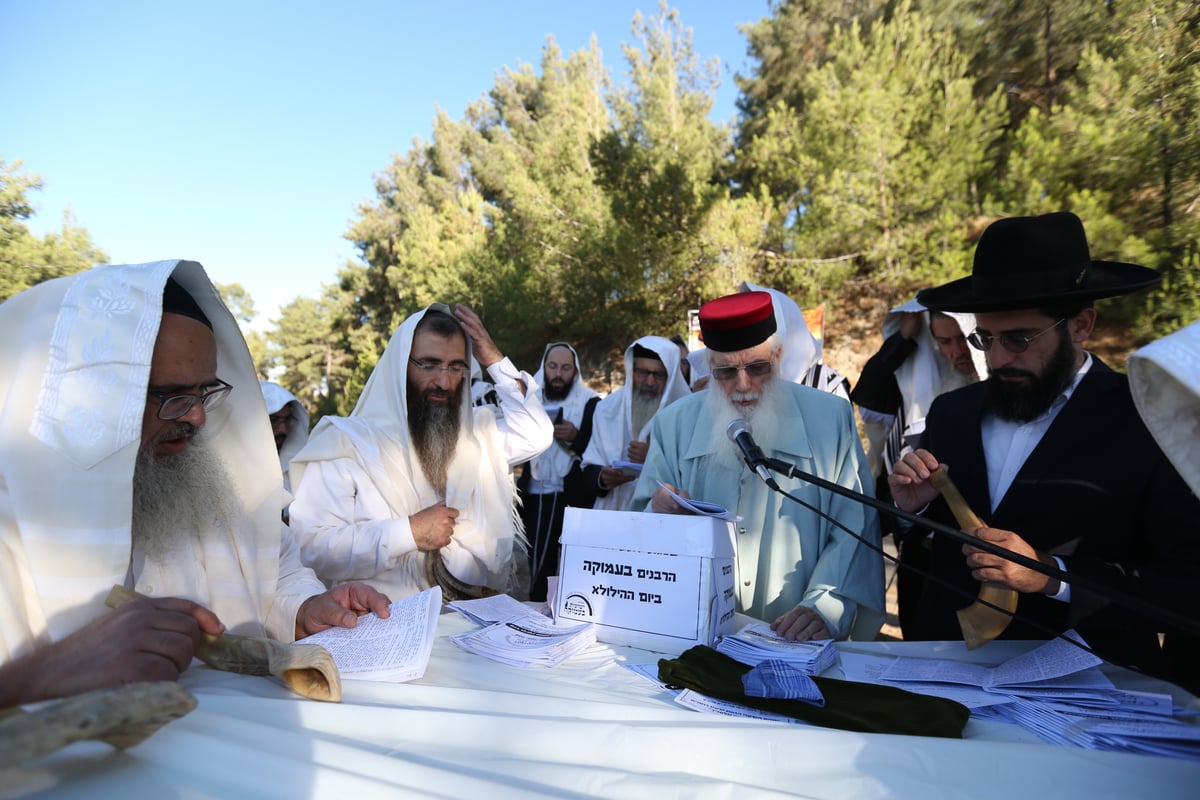 לאחר שההילולא בוטלה: תיקון שופרות ביער הסמוך