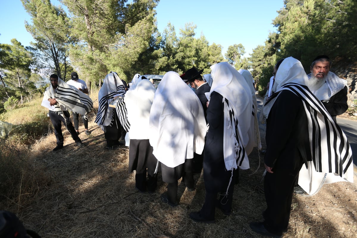 לאחר שההילולא בוטלה: תיקון שופרות ביער הסמוך