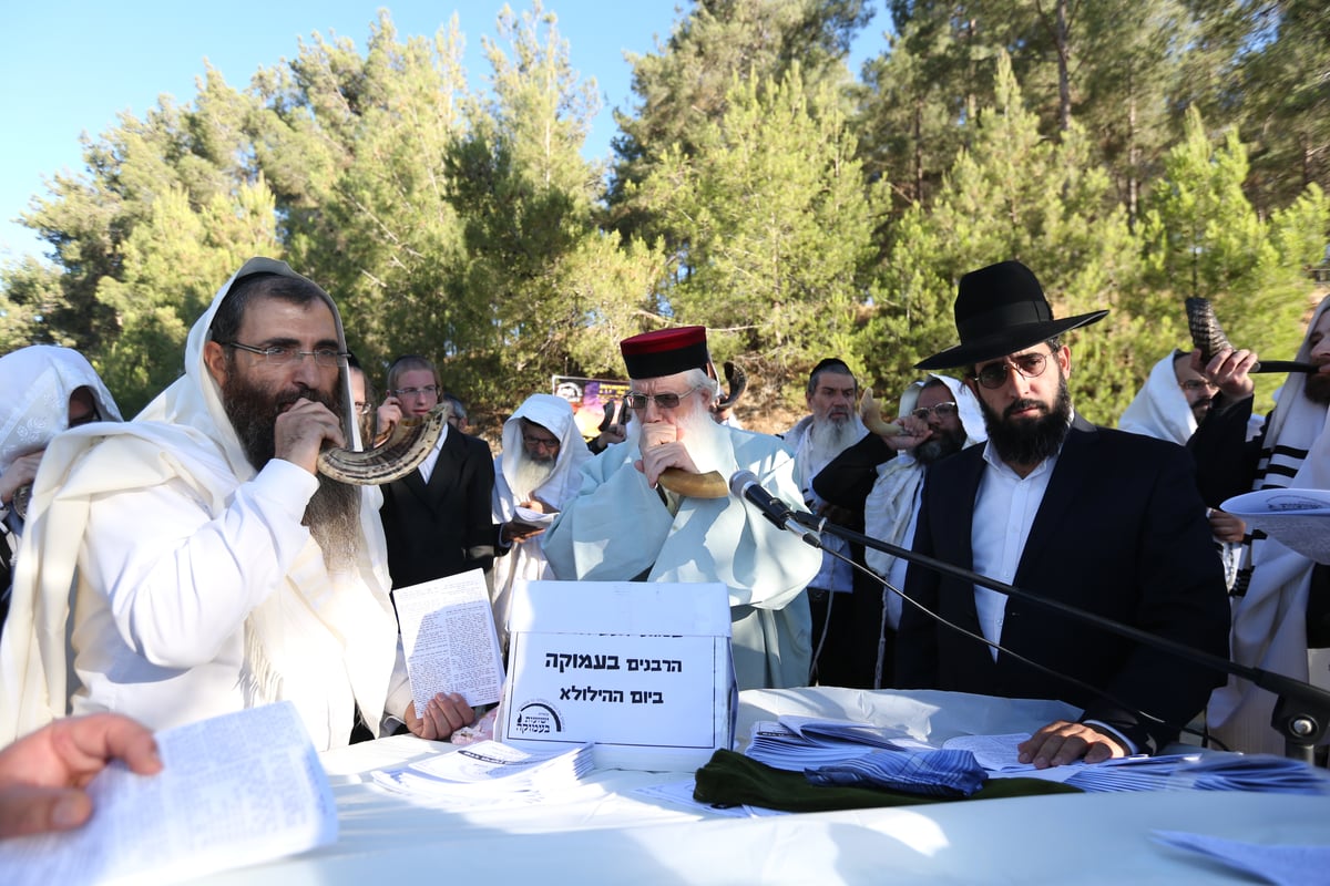 לאחר שההילולא בוטלה: תיקון שופרות ביער הסמוך