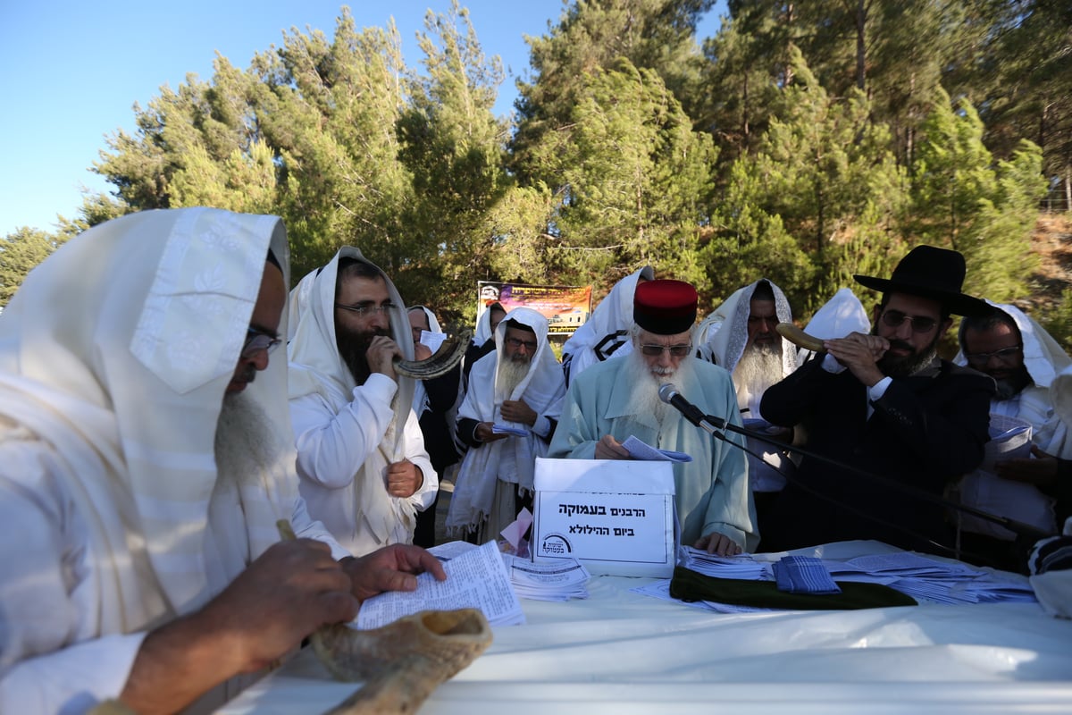 לאחר שההילולא בוטלה: תיקון שופרות ביער הסמוך