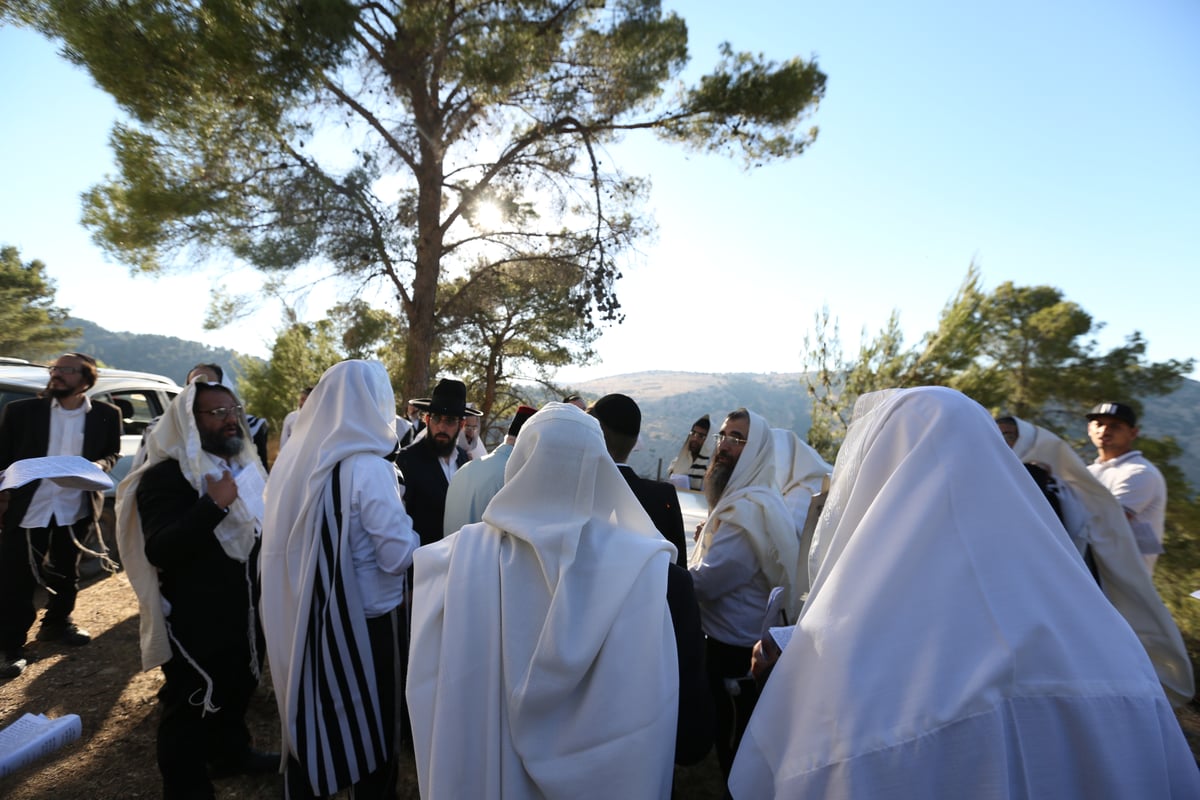 לאחר שההילולא בוטלה: תיקון שופרות ביער הסמוך