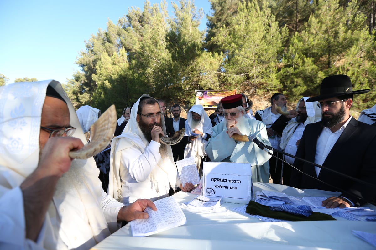 לאחר שההילולא בוטלה: תיקון שופרות ביער הסמוך