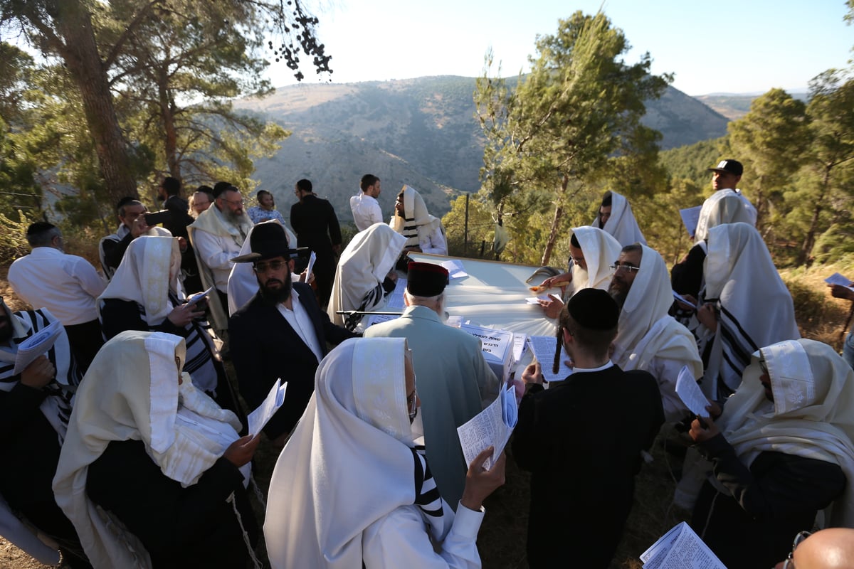 לאחר שההילולא בוטלה: תיקון שופרות ביער הסמוך