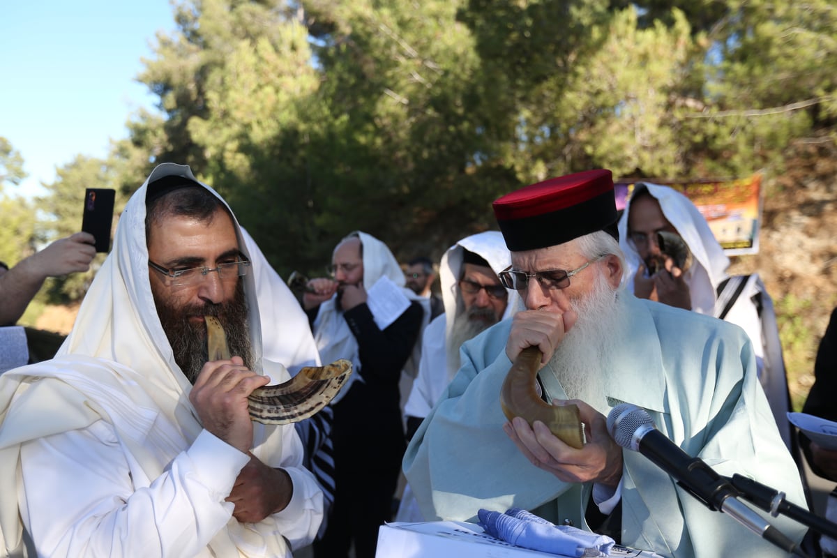 לאחר שההילולא בוטלה: תיקון שופרות ביער הסמוך