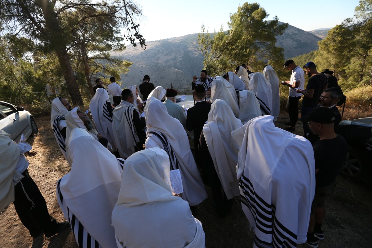 לאחר שההילולא בוטלה: תיקון שופרות ביער הסמוך