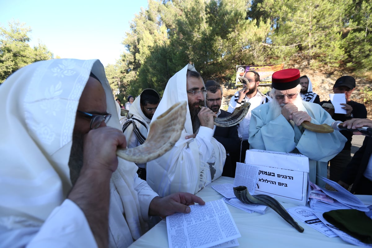 לאחר שההילולא בוטלה: תיקון שופרות ביער הסמוך