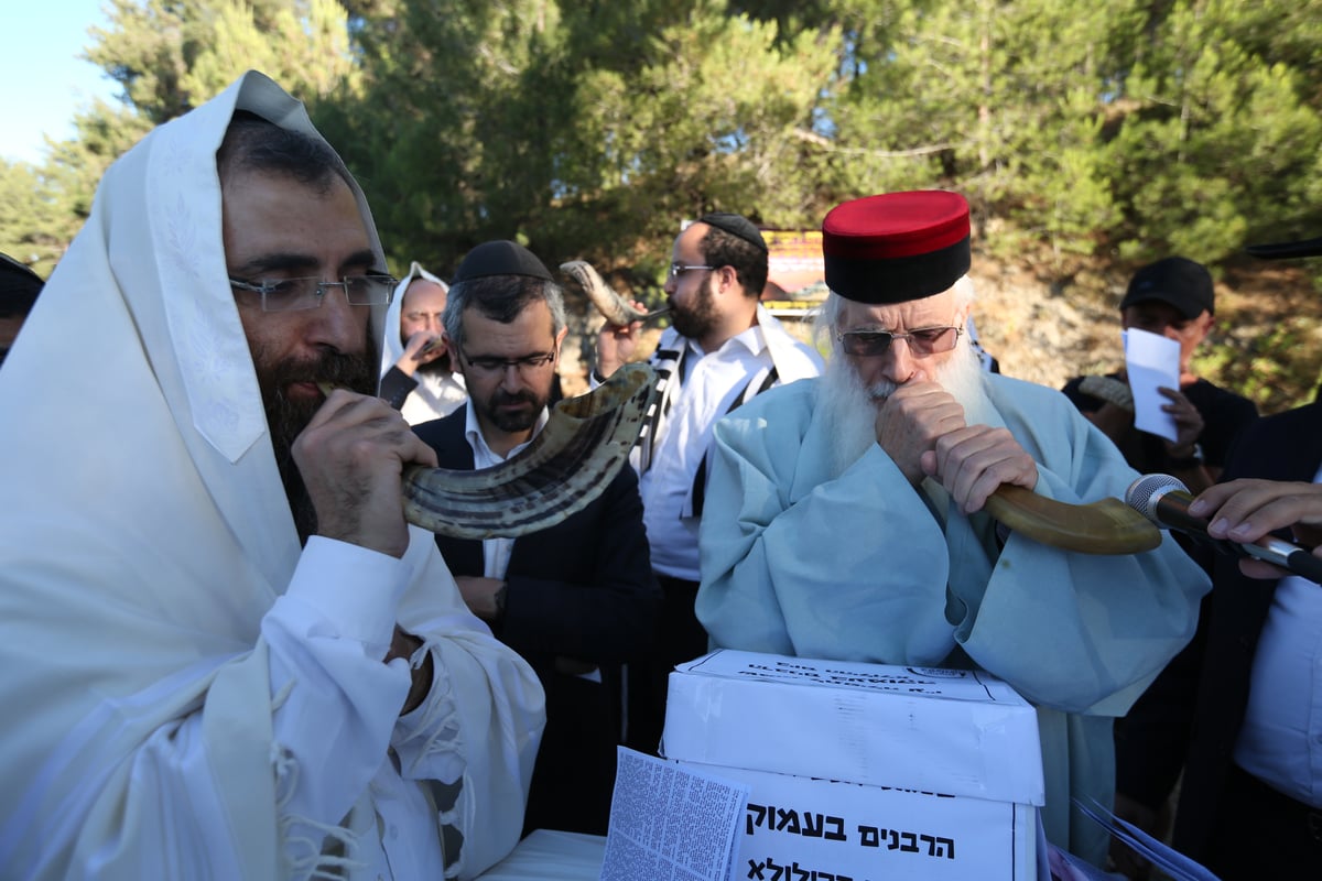 לאחר שההילולא בוטלה: תיקון שופרות ביער הסמוך