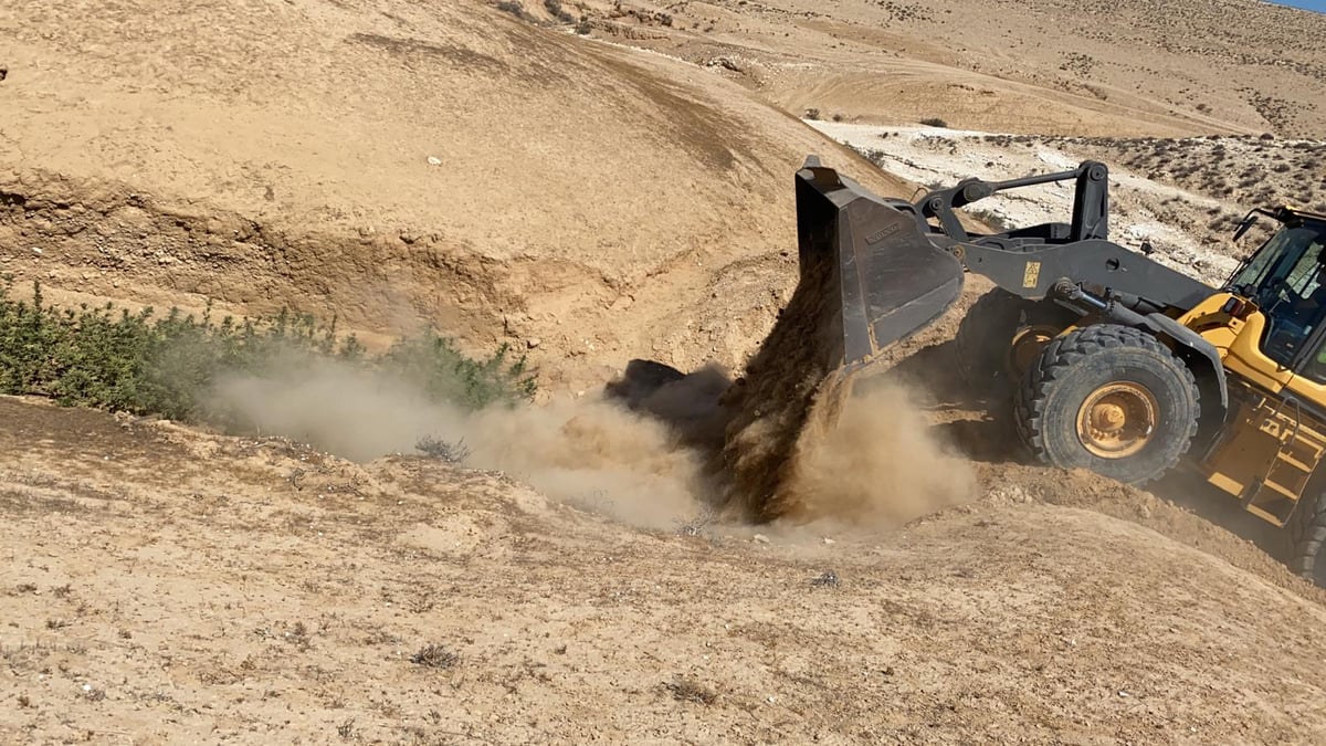 כך השמידה המשטרה שטחי גידול של מריחואנה