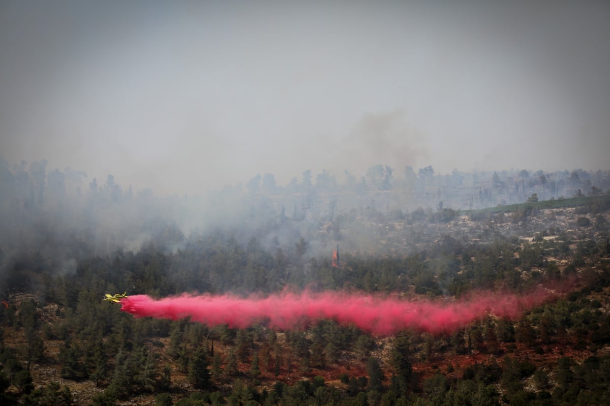 אש בהרי ירושלים; הגלריה של חיים גולדברג