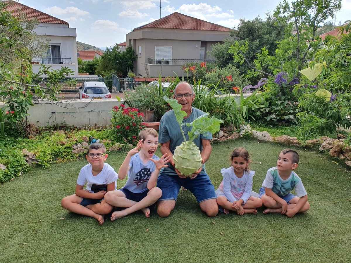 הקולרבי הפתיע וגדל פי 35 מקולורבי רגיל