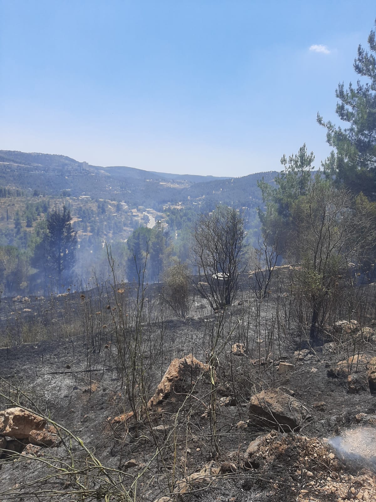 שריפה בשכונה החרדית; בחורים פינו ילדי מעון