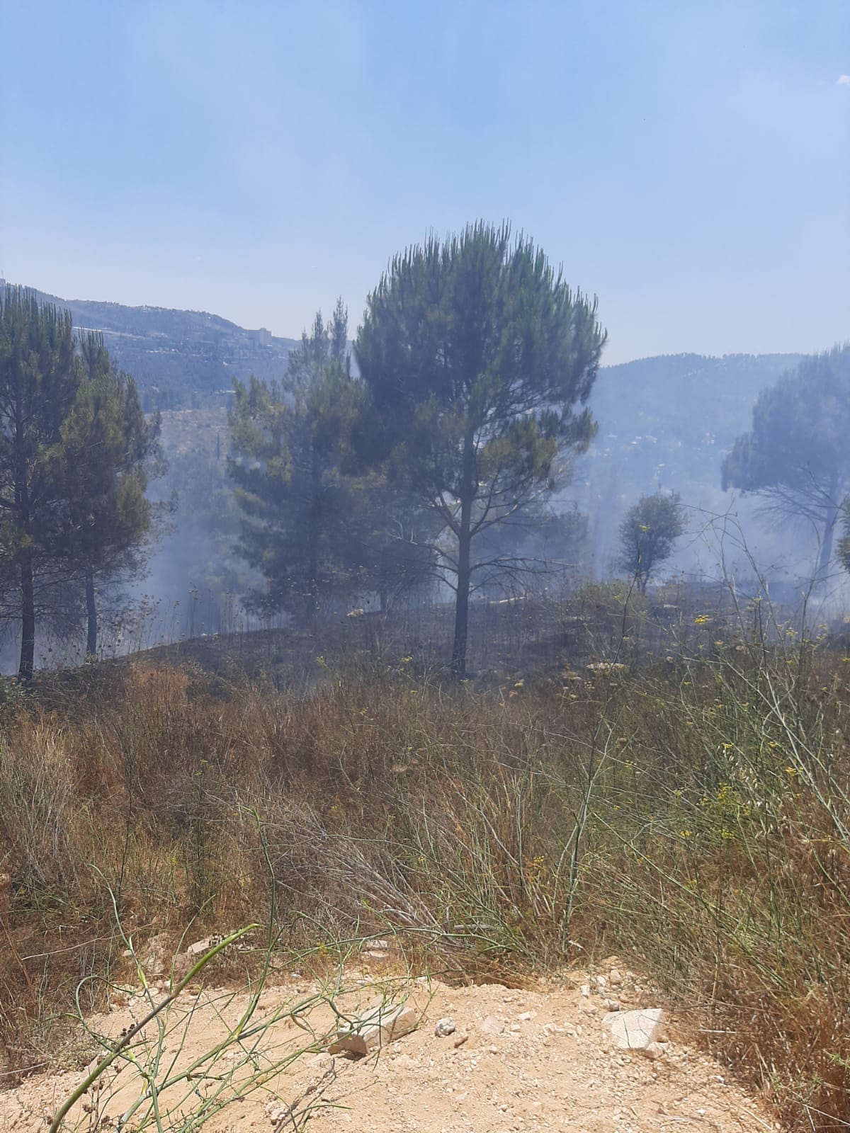 שריפה בשכונה החרדית; בחורים פינו ילדי מעון