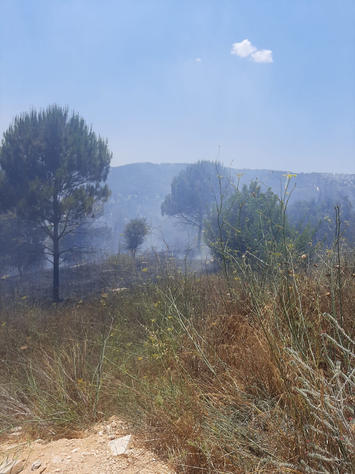 שריפה בשכונה החרדית; בחורים פינו ילדי מעון