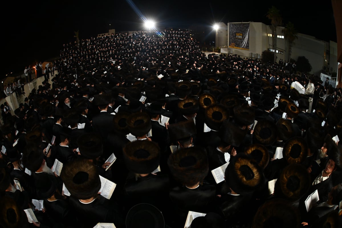 בצאנז ציינו את הילולת בעל ה'שפע חיים' זיע"א