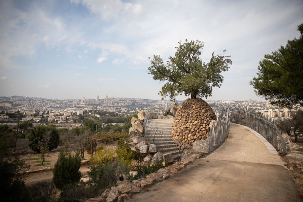 תצפית על ירושלים מקיבוץ רמת רחל