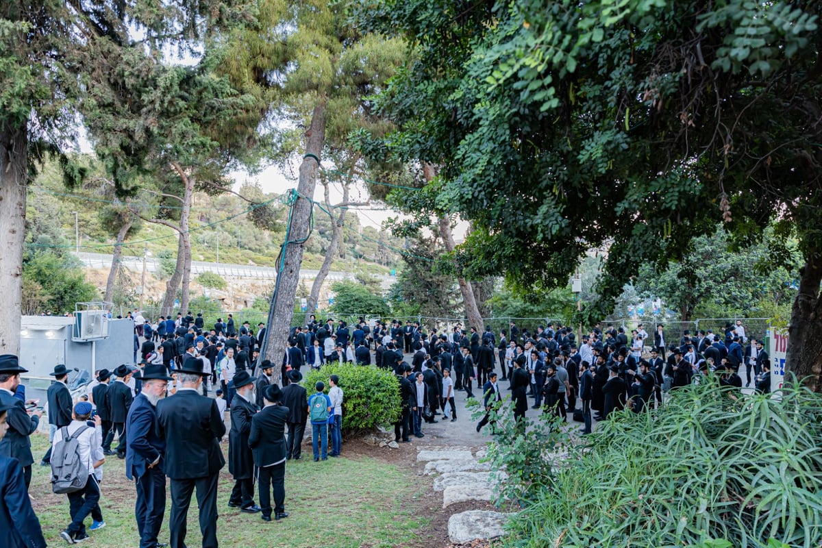 תיעוד: 75 רגעים מסיום הרמב"ם ההיסטורי