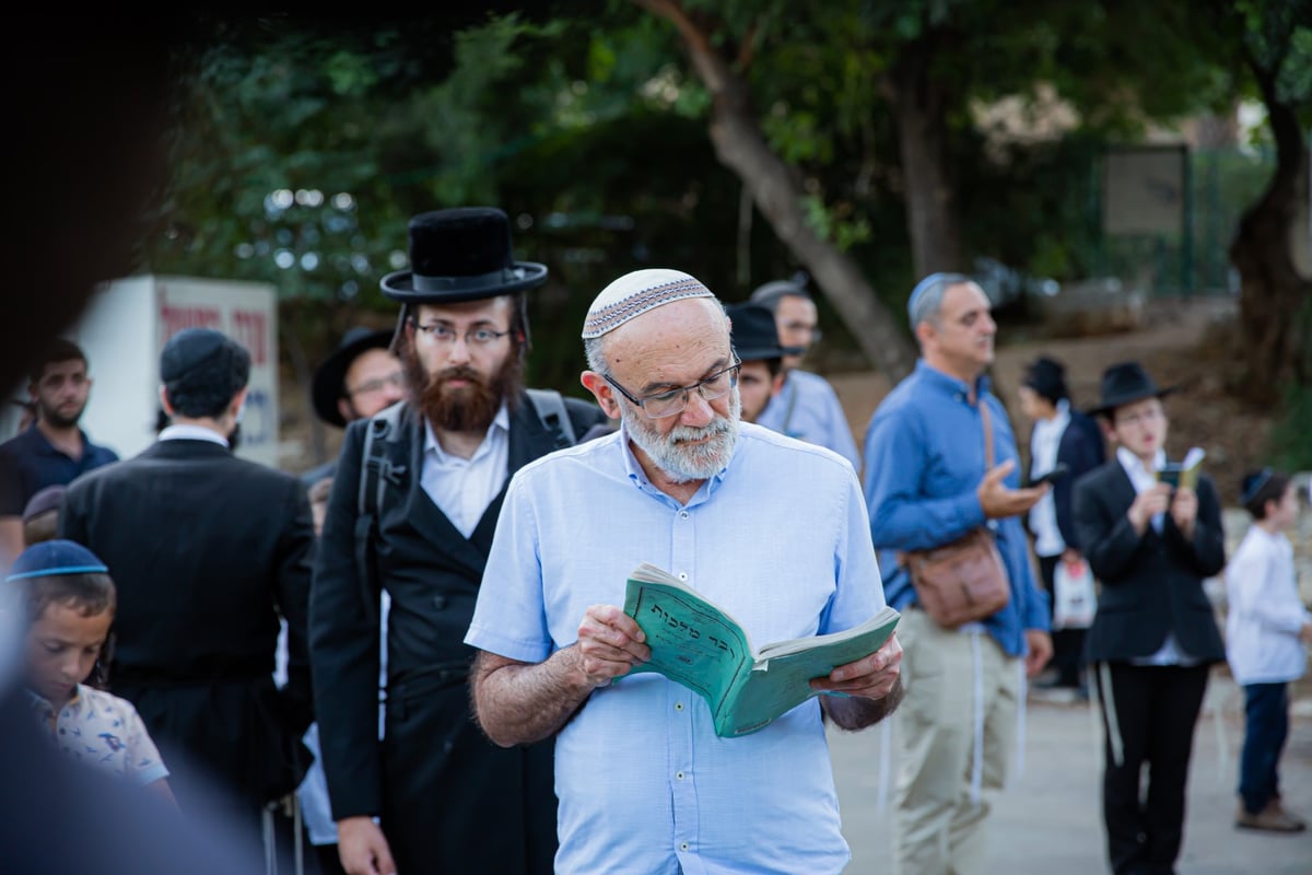 תיעוד: 75 רגעים מסיום הרמב"ם ההיסטורי