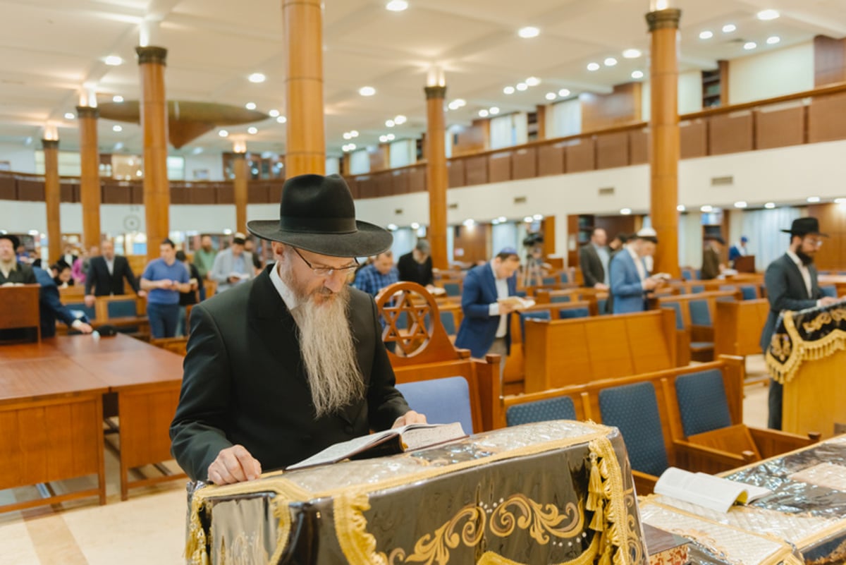 ספר תורה חדש הוכנס בעיר הרוסית; צפו