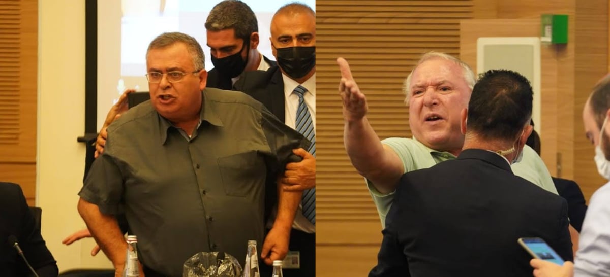 "בריון, צריך אשפוז": קרקס בוועדה המסדרת