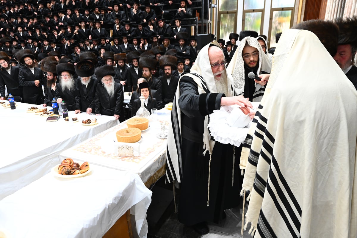 שמחת הברית וה'וואך נאכט' בחצר הקודש צאנז