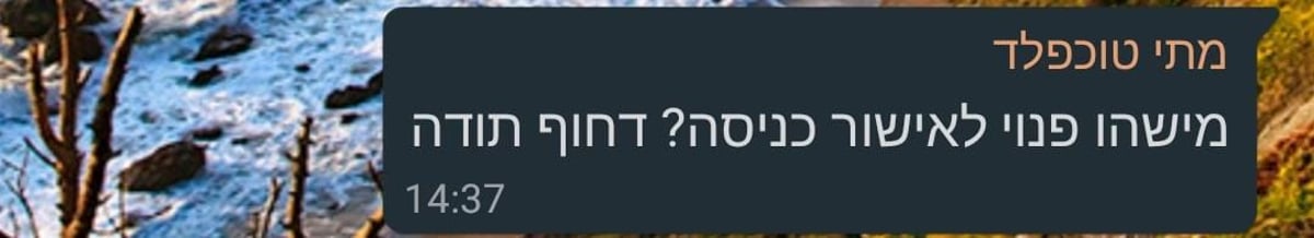 זופניק בכיכר • כל התמונות והנייעס של השבוע