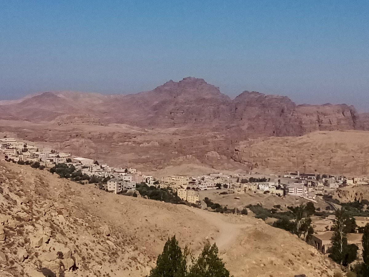 הילולת אהרן הכהן: עלו לקבר עם חמורים • תיעוד