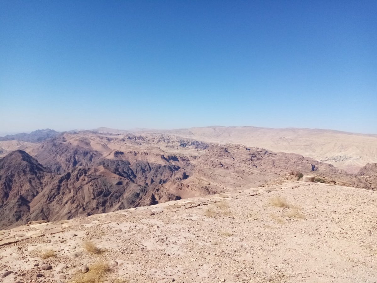 הילולת אהרן הכהן: עלו לקבר עם חמורים • תיעוד