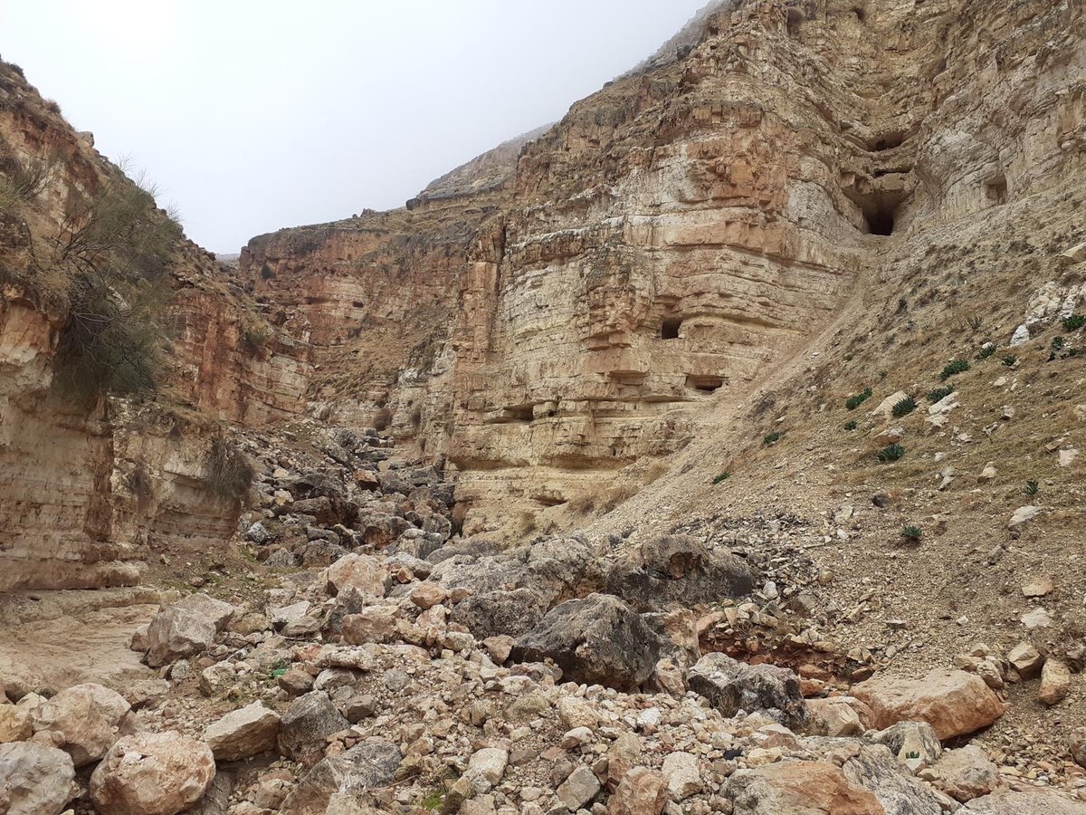 במערה באזור בנימין: התגלו מטבעות נדירים