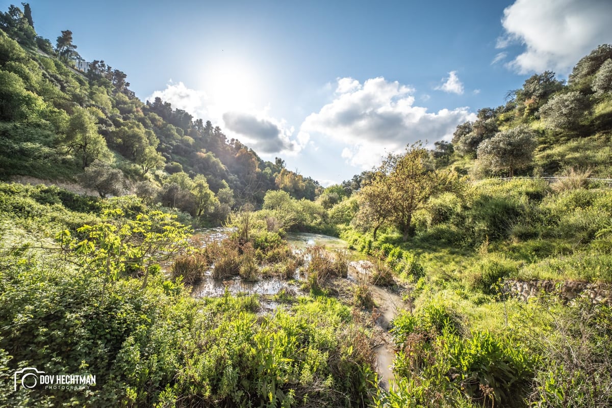 דובער הכטמן מציג: 3 שנים בצפת - ב-60 רגעים