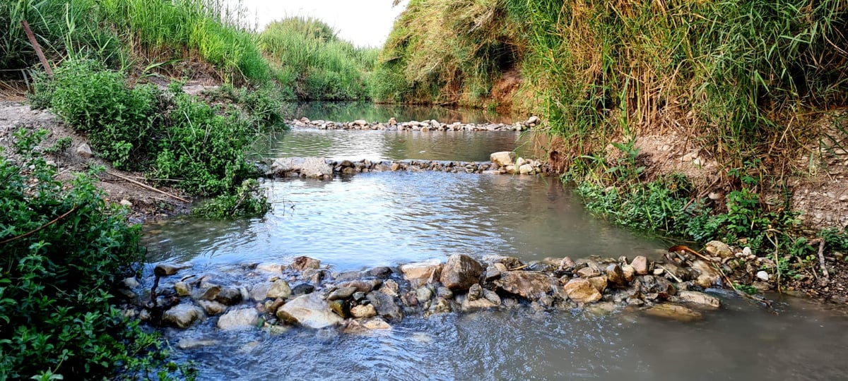 טיול לבין הזמנים: בואו לרחוץ ב'נחל תנינים'