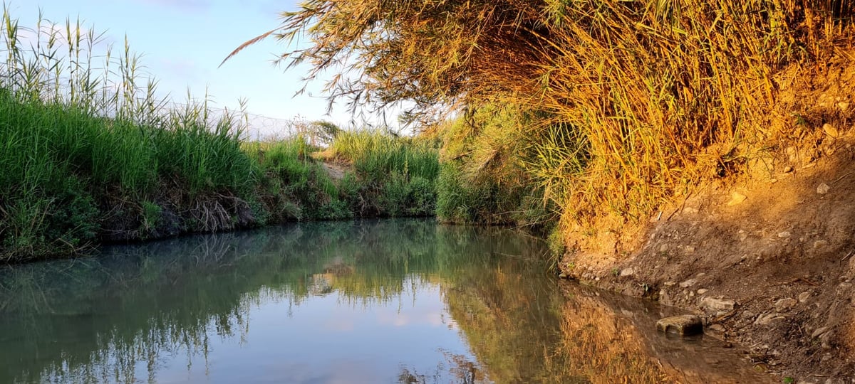 טיול לבין הזמנים: בואו לרחוץ ב'נחל תנינים'