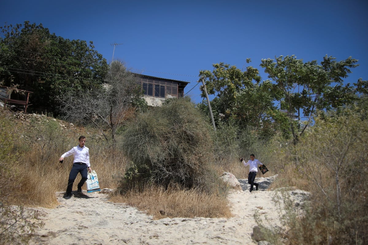 גלריה מרעננת: 'בין הזמנים' במעיין הליפתא