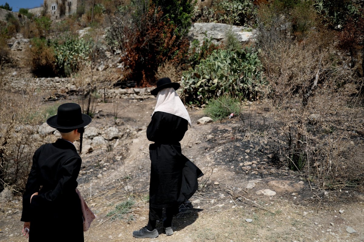 גלריה מרעננת: 'בין הזמנים' במעיין הליפתא