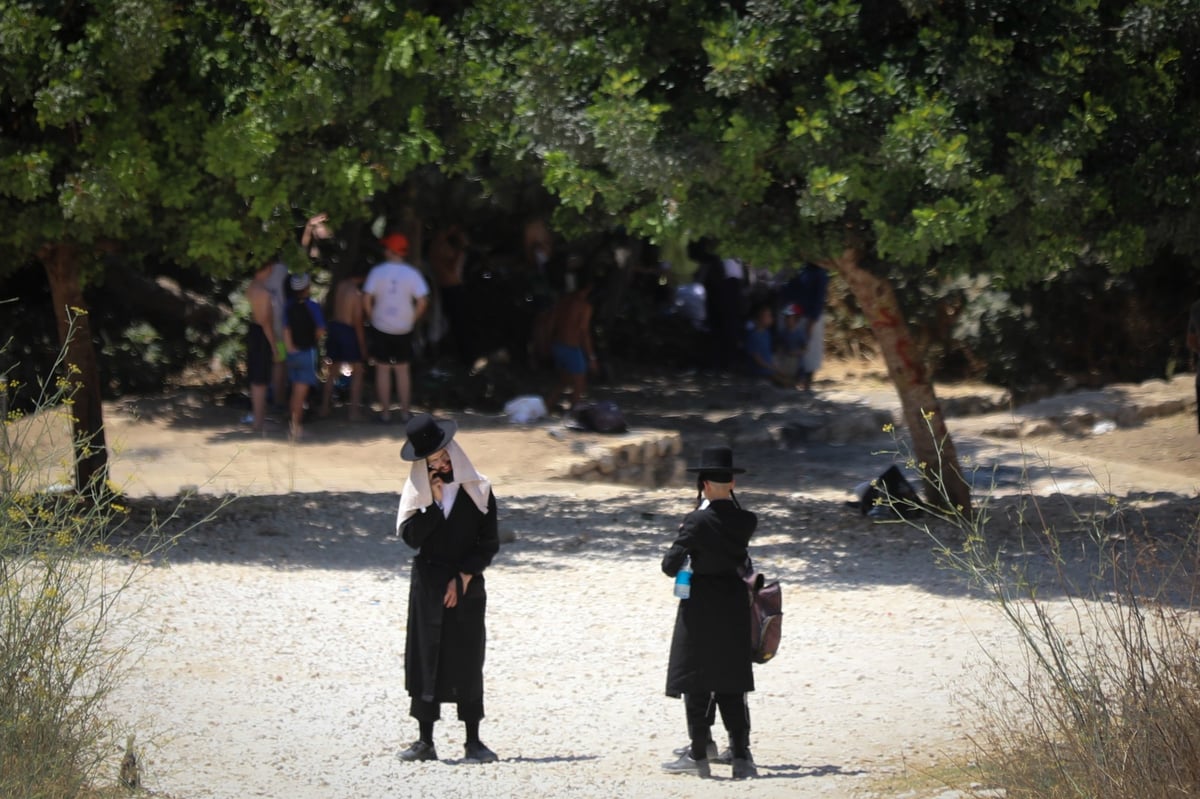 גלריה מרעננת: 'בין הזמנים' במעיין הליפתא